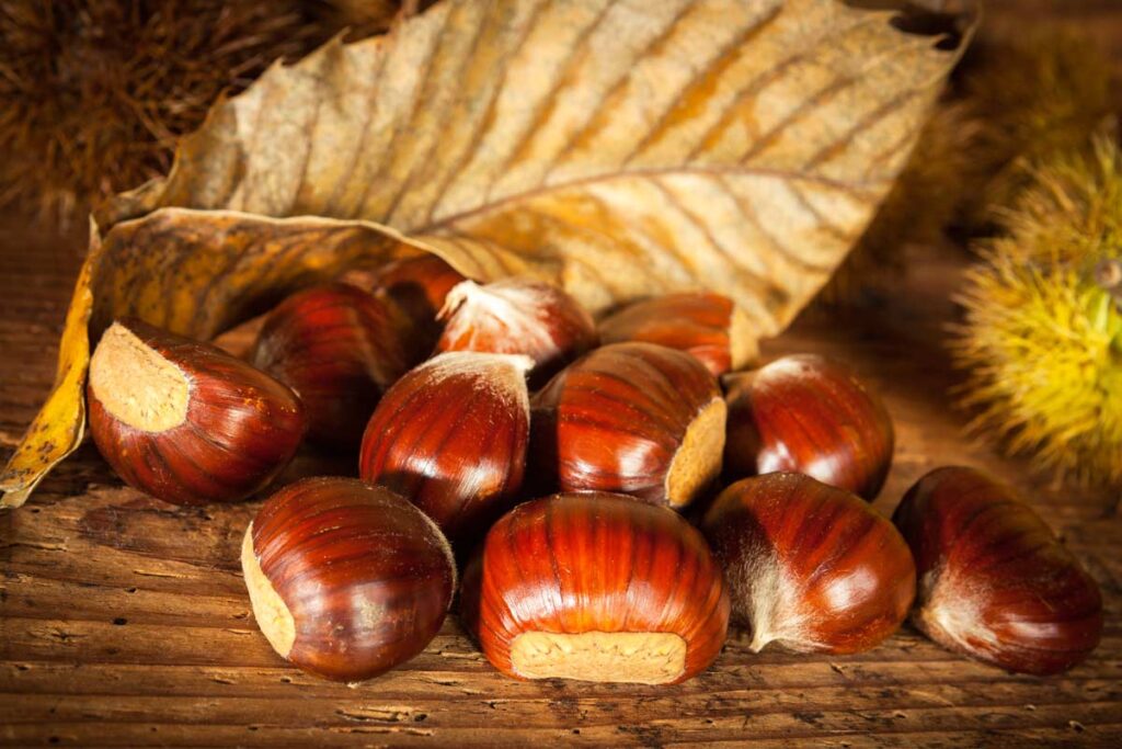 cuocere castagne